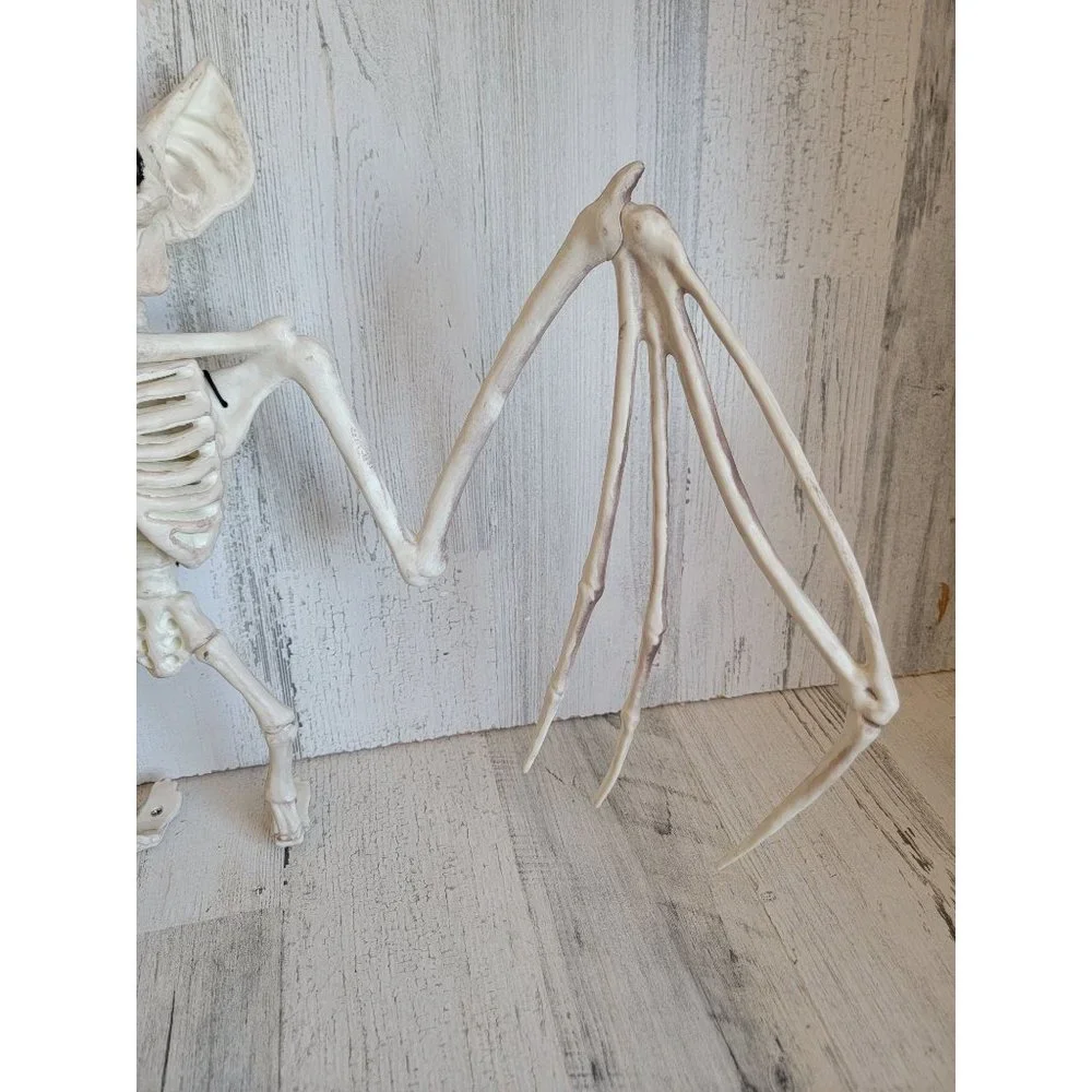 Crazy Bones skeleton vampire bat hanging Halloween prop decor
